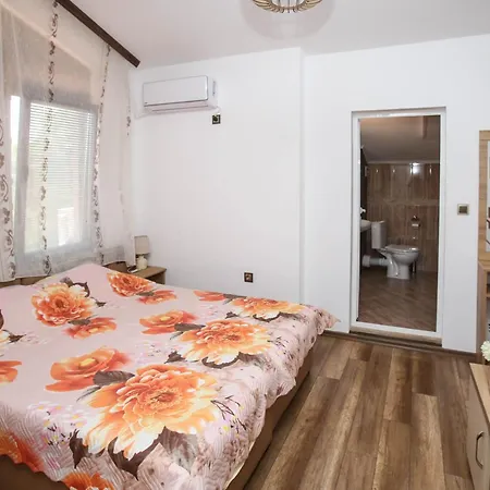 Complex Nestinarka *